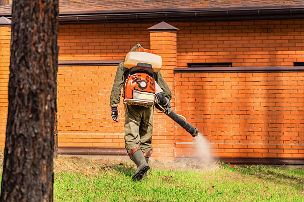 Trusted Cockroach Control service in Penns Grove, NJ - Nex Pest Control